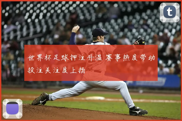 世界杯足球押注升温 赛事热度带动投注关注度上扬