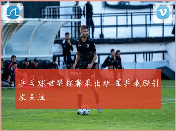 乒乓球世界杯赛果出炉 国乒表现引发关注