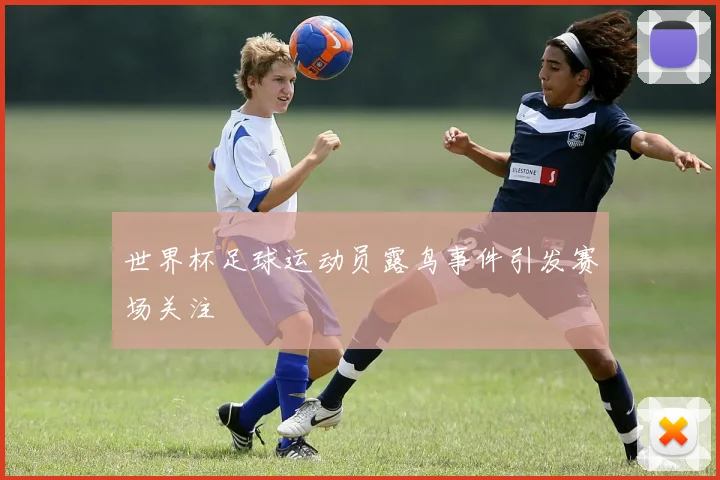世界杯足球运动员露鸟事件引发赛场关注