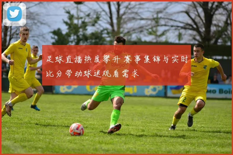 足球直播热度攀升 赛事集锦与实时比分带动球迷观看需求