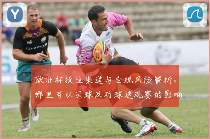 欧洲杯投注渠道与合规风险解析，哪里可以买球及对球迷观赛的影响