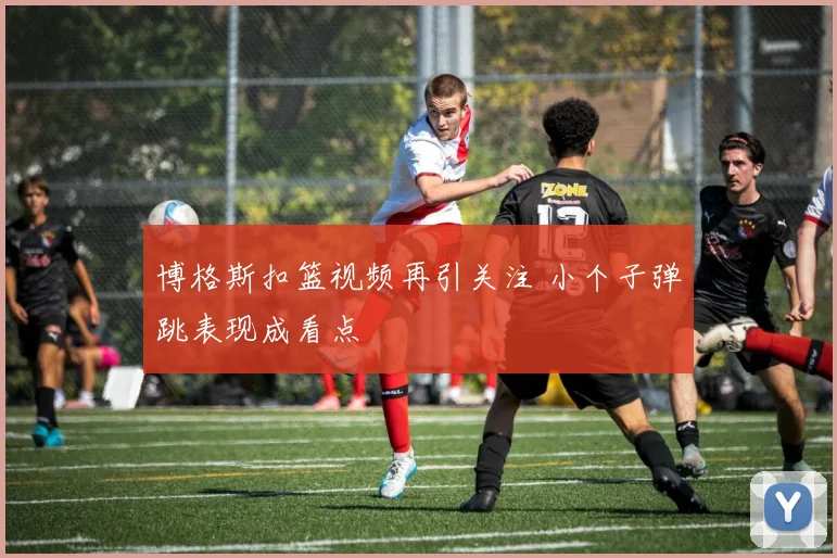 博格斯扣篮视频再引关注 小个子弹跳表现成看点